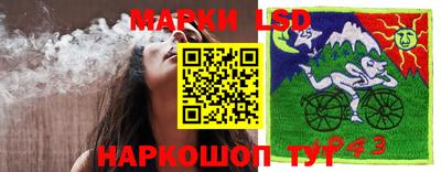 индика Донецк