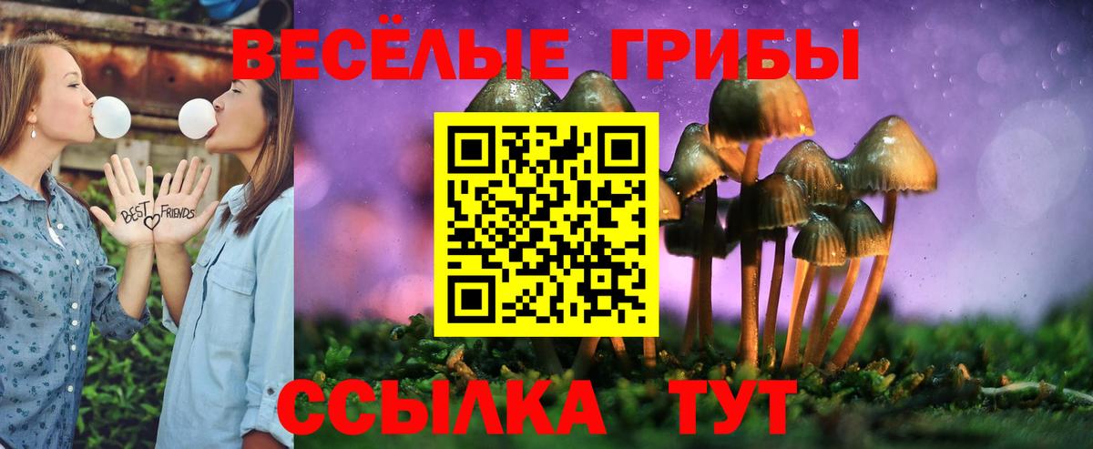 купить   Вход с VPN  Котельники  Галлюциногенные грибы ЛСД 
